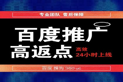 SEM托管服务成功案例背后的故事