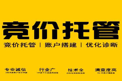 百度SEO与广告结合的多元化推广策略——多行业成功案例
